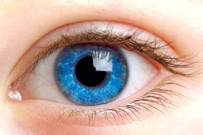 Human eye can detect a single photon, study finds